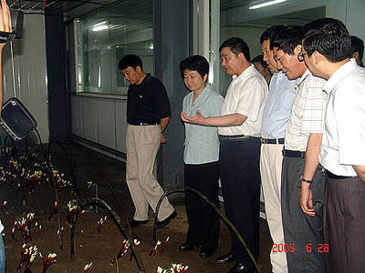 腾博会官网
