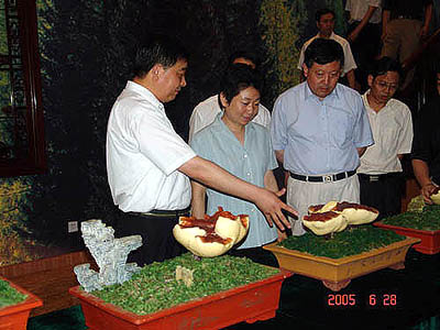 腾博会官网