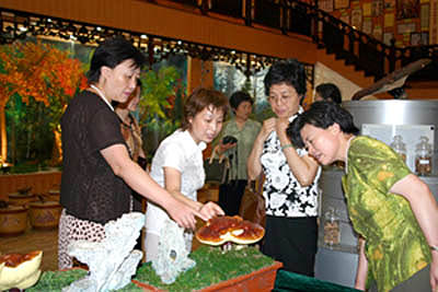 腾博会官网 腾博会官网