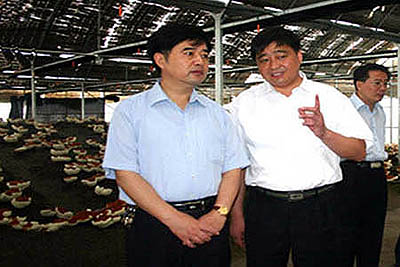 腾博会官网